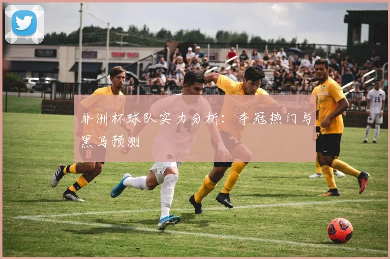 非洲杯球队实力分析：夺冠热门与黑马预测